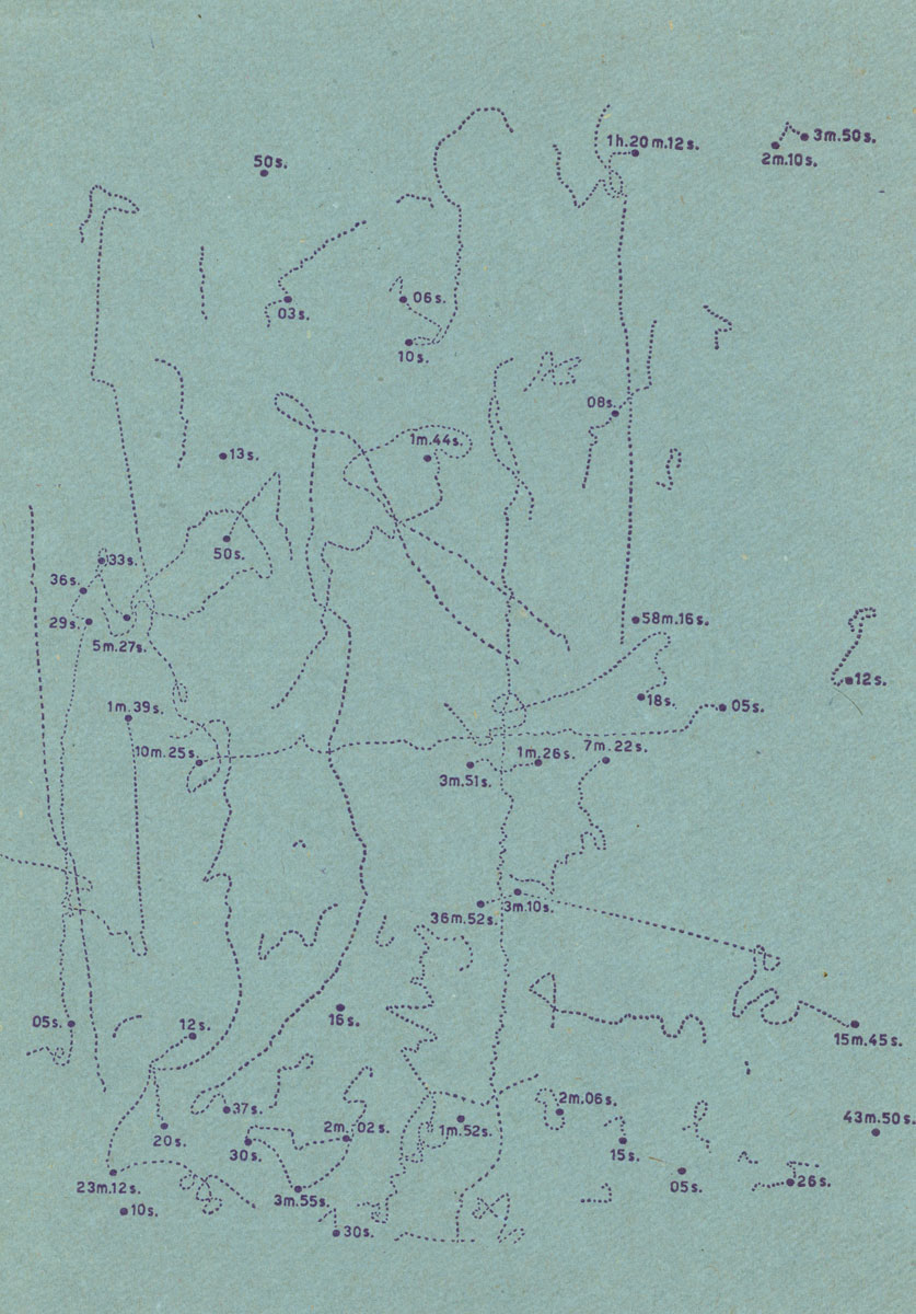 mouvements%20d'une%20mouche